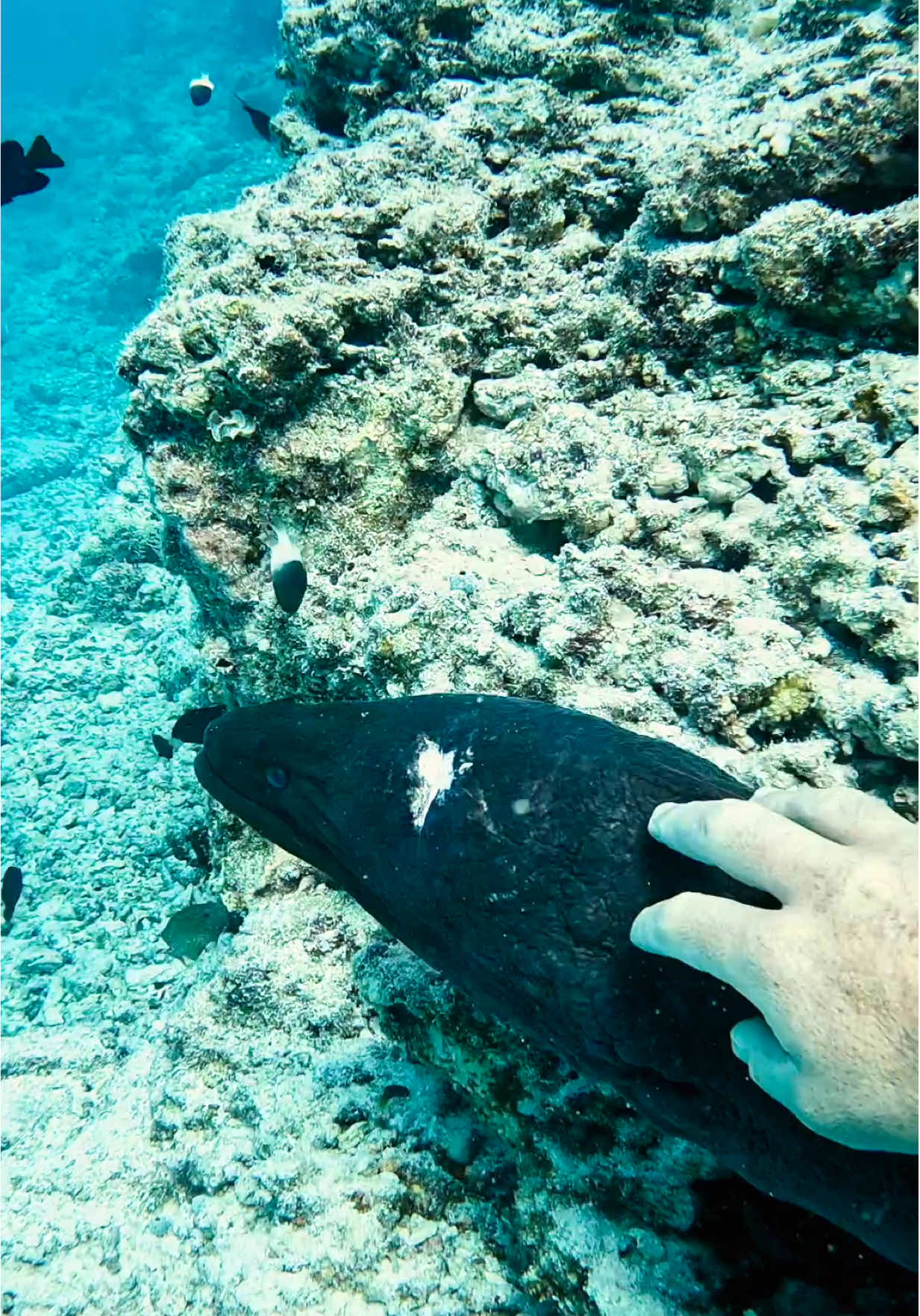 @Wade Papenfus | Offshore Tales