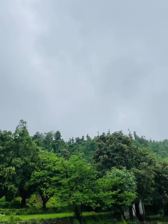 @ruchizala3