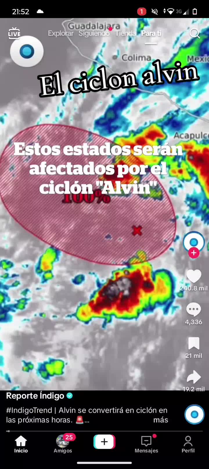 @Wily_trex_Tiktok