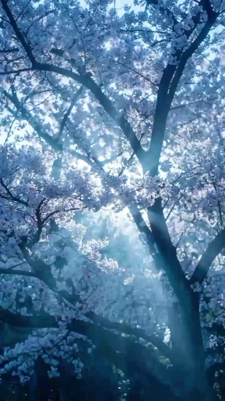 @Hidanori_official ム