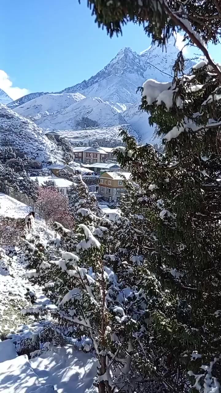 @Afan Dai