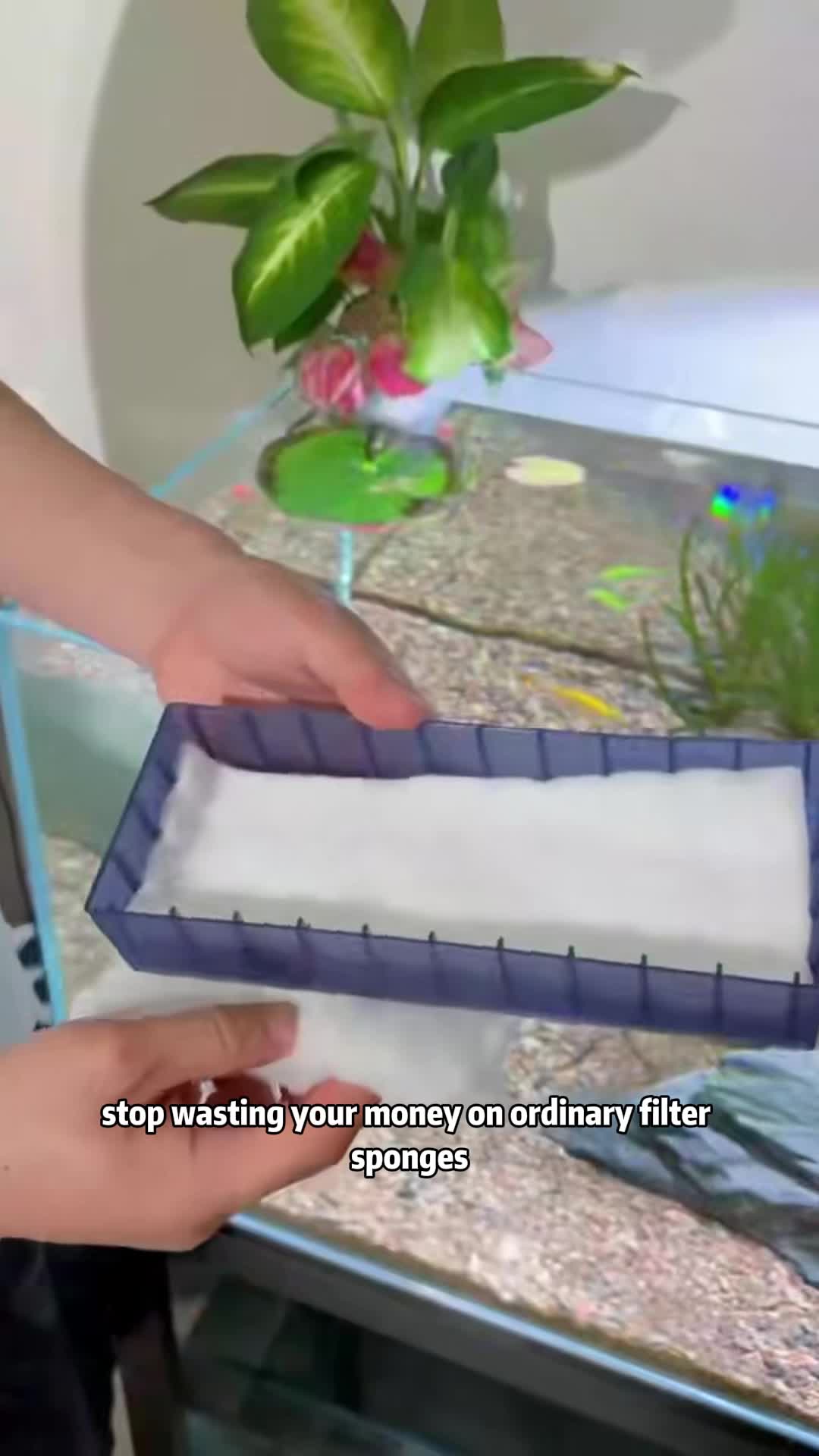 @AquaBunny