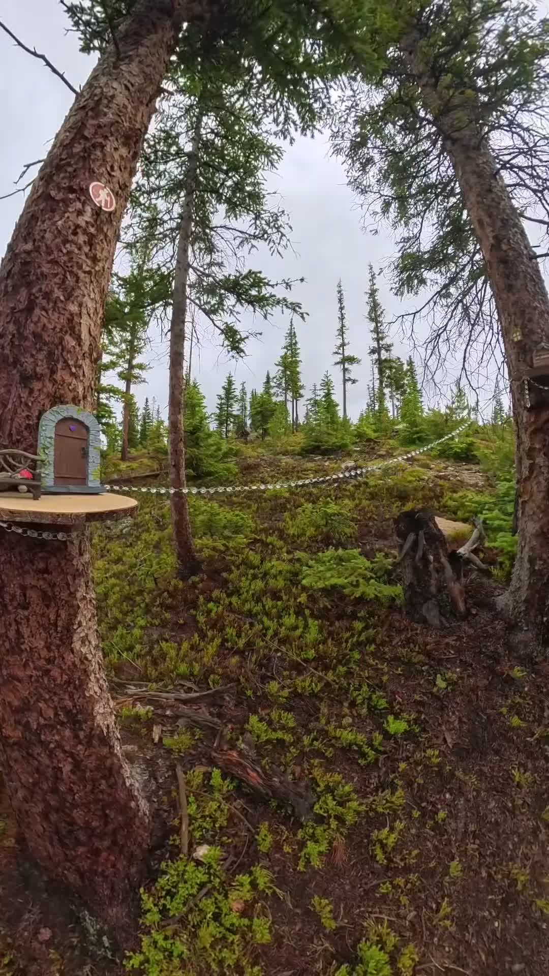 @Boards Bikes and Hikes