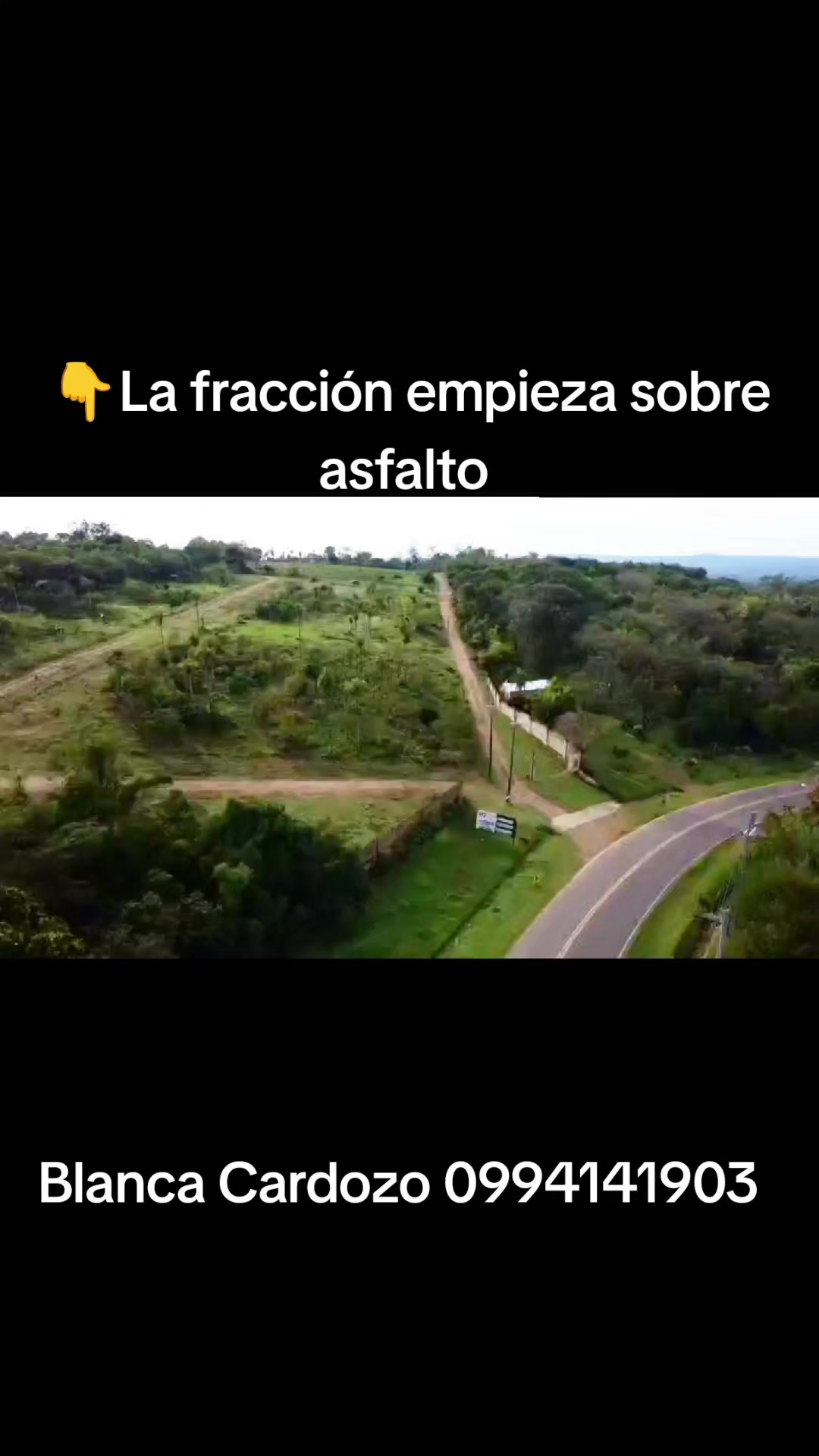 @Blanca Cardozo