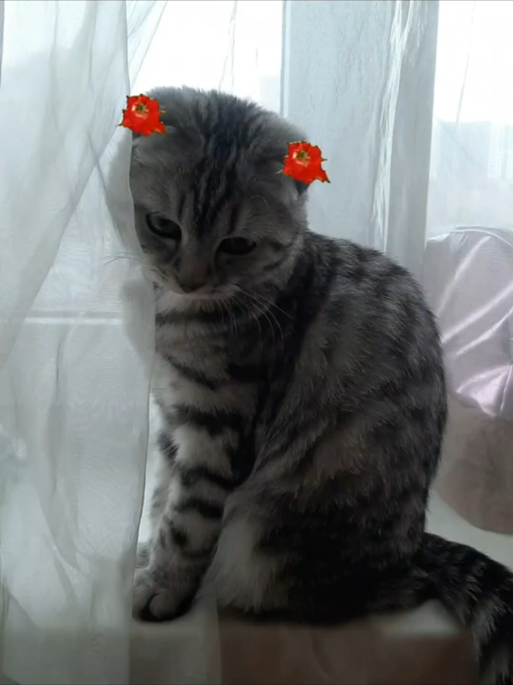 @мила