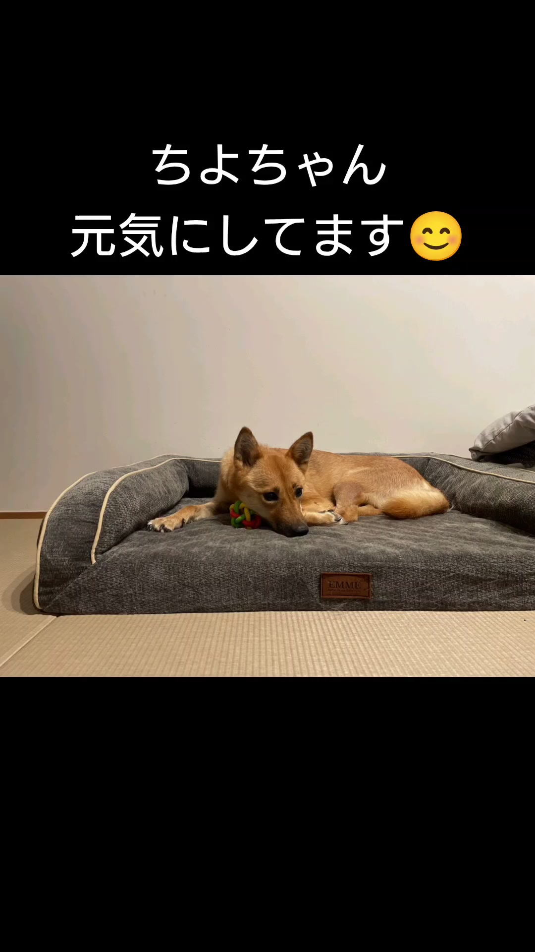 @まあくんハウス