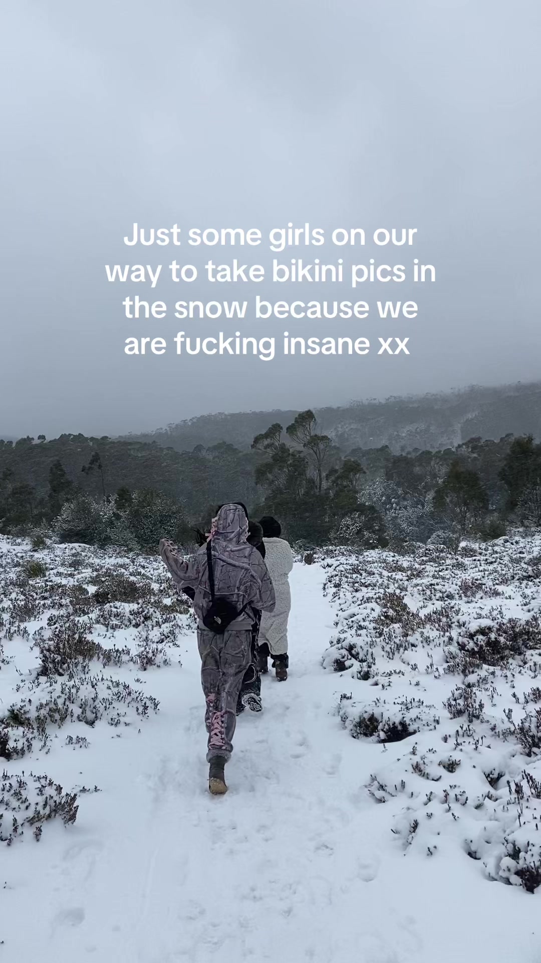 @maya