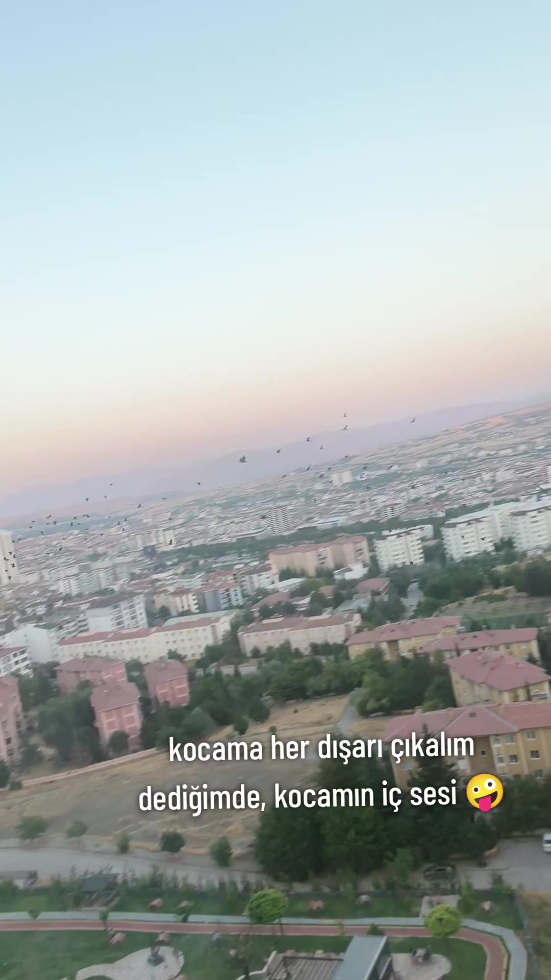 @bizimelegimiz