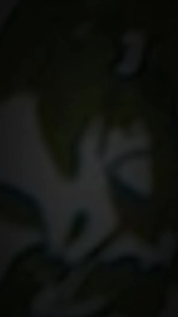 @๐๐ฆ๐๐๐๐ช๐...๐