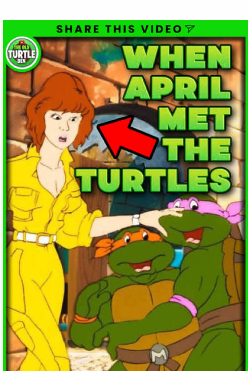 @TheOldTurtleDen