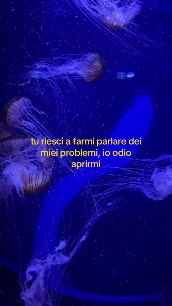 @benniiii