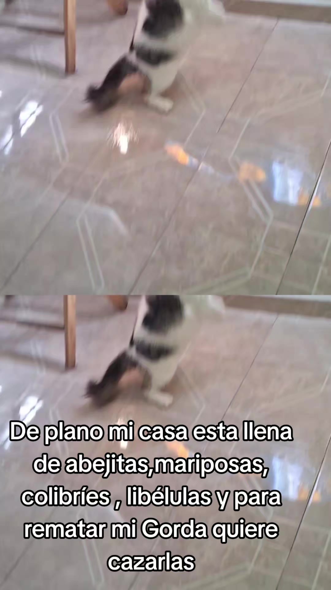 @Nel