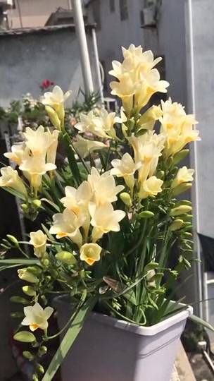 @๐๐๋๋ฆผ๊ฐ๋ ์์ค๐๐