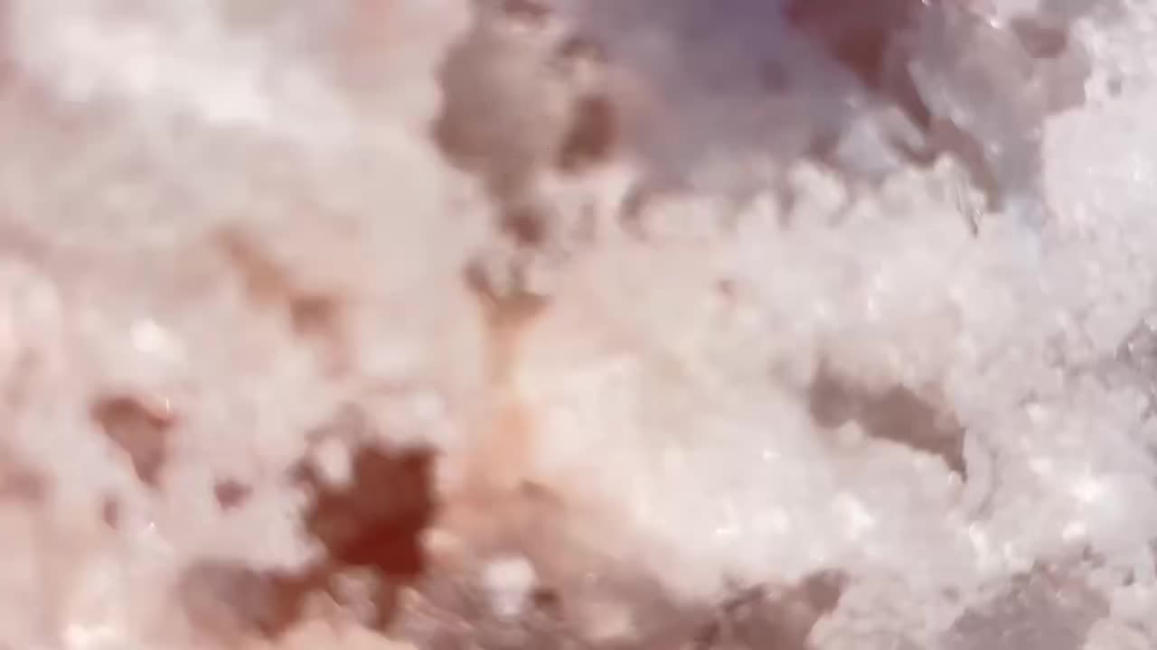 @🦋 ГАЛКА 🦋