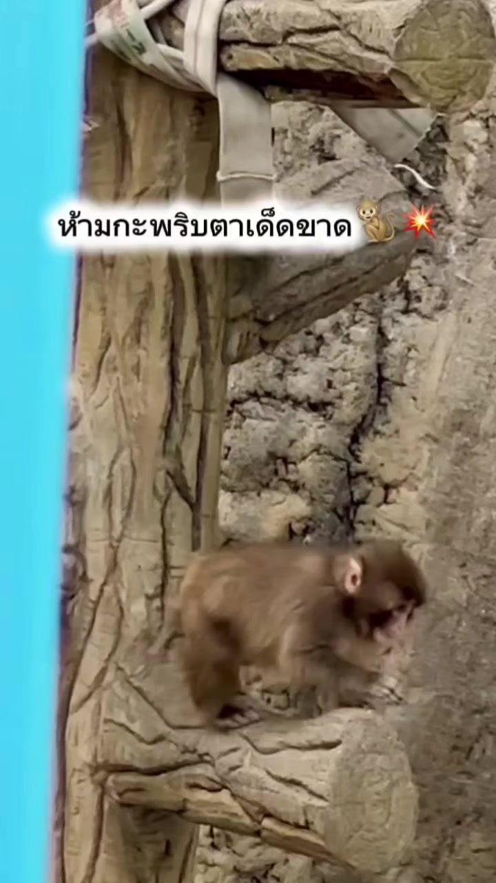 @Chaya 25