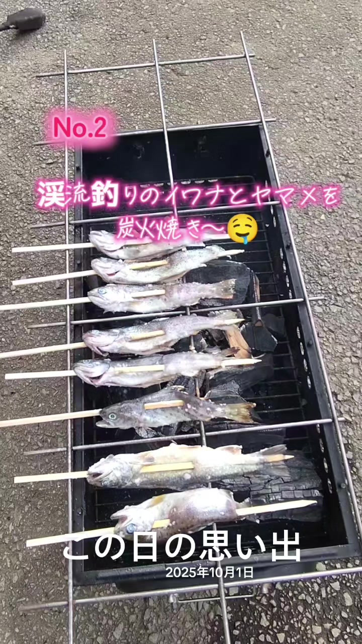 @ANIMAL♡M