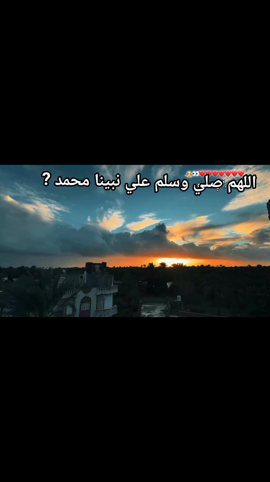 @سنجاب 🐿