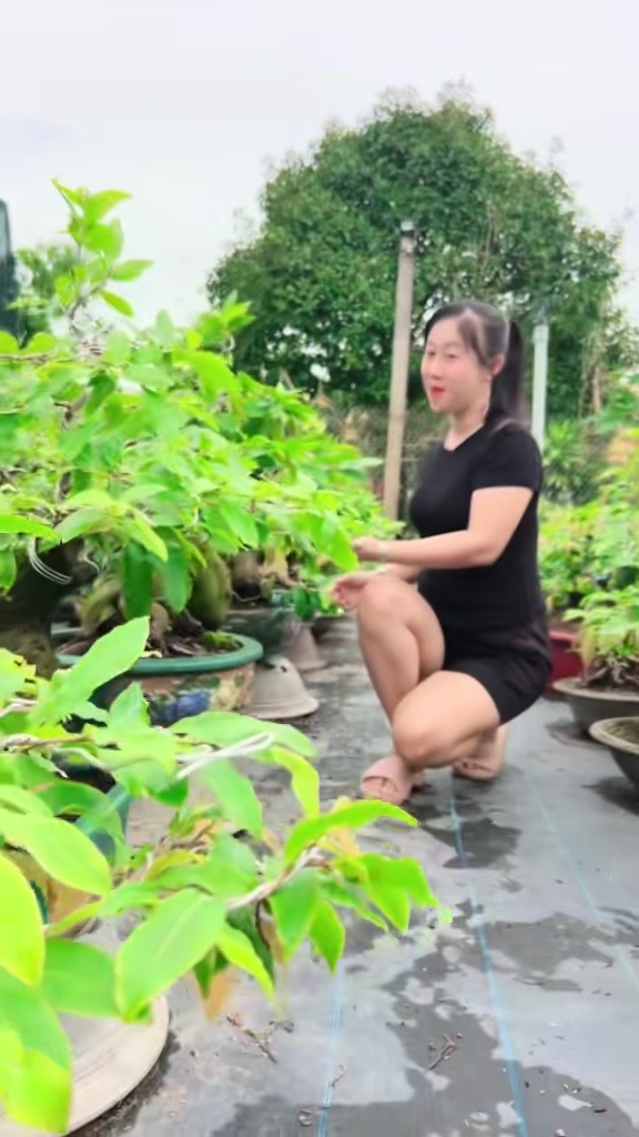 @Chichchoebong79