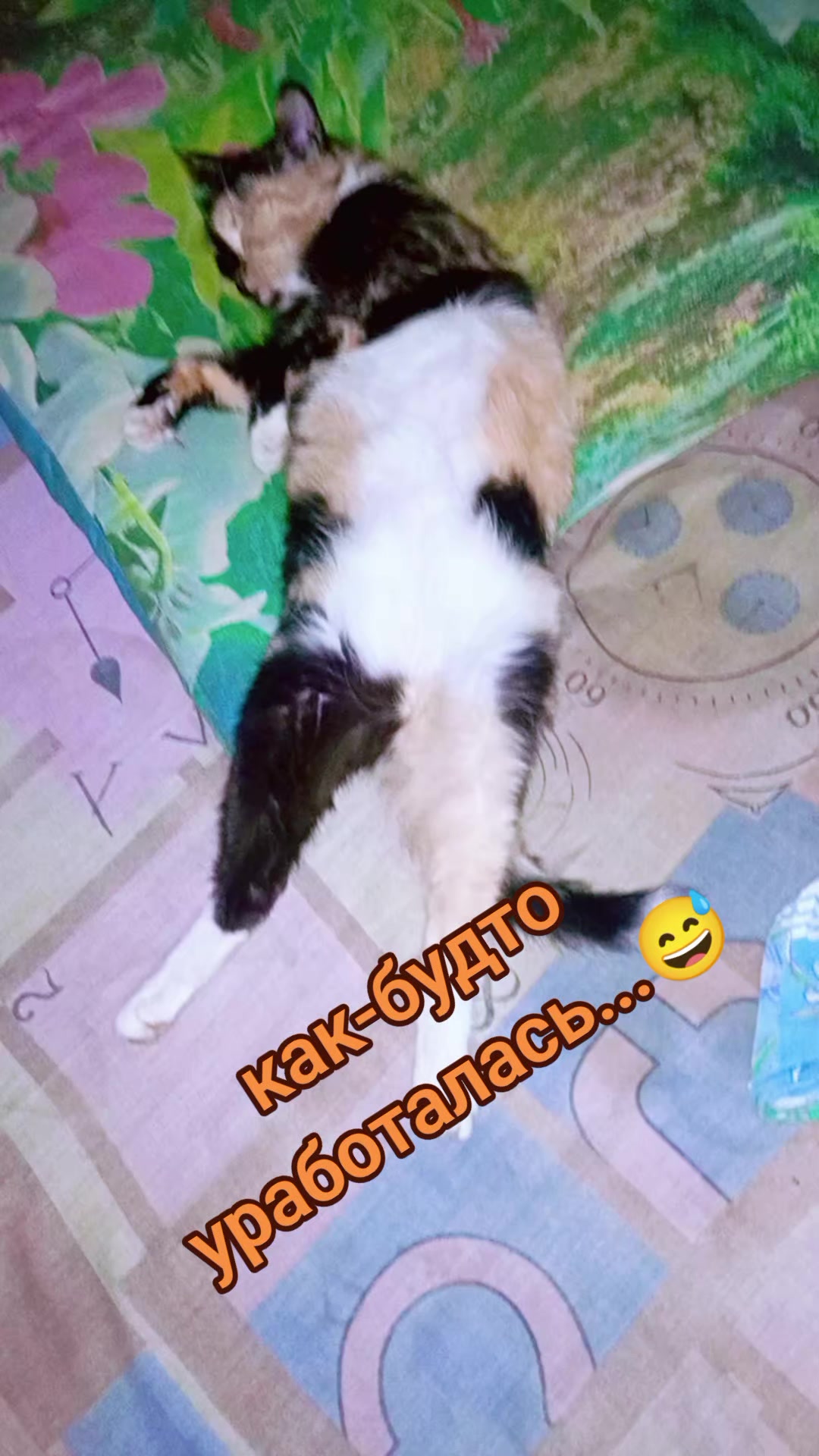 @user278533368490камета