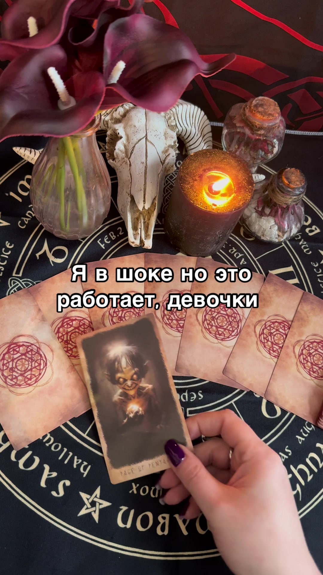 @Oksi_fox