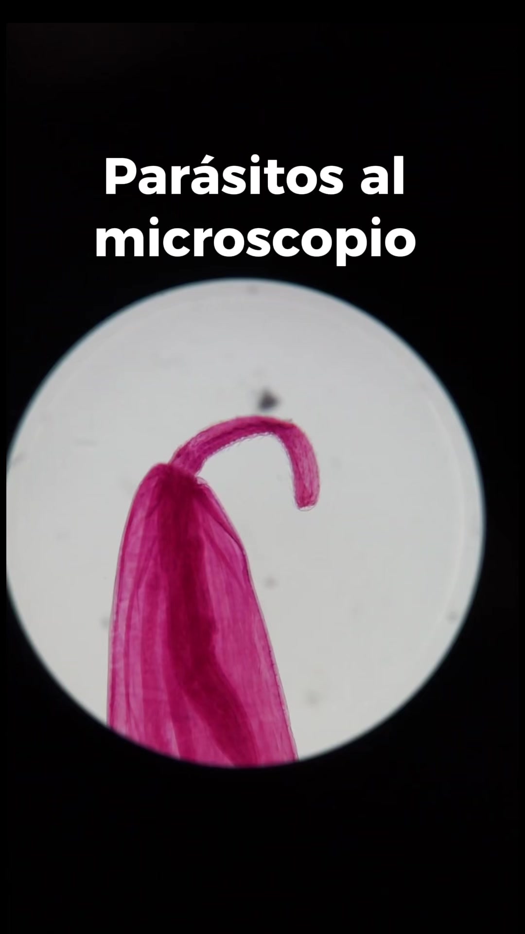 @Jair Dimas