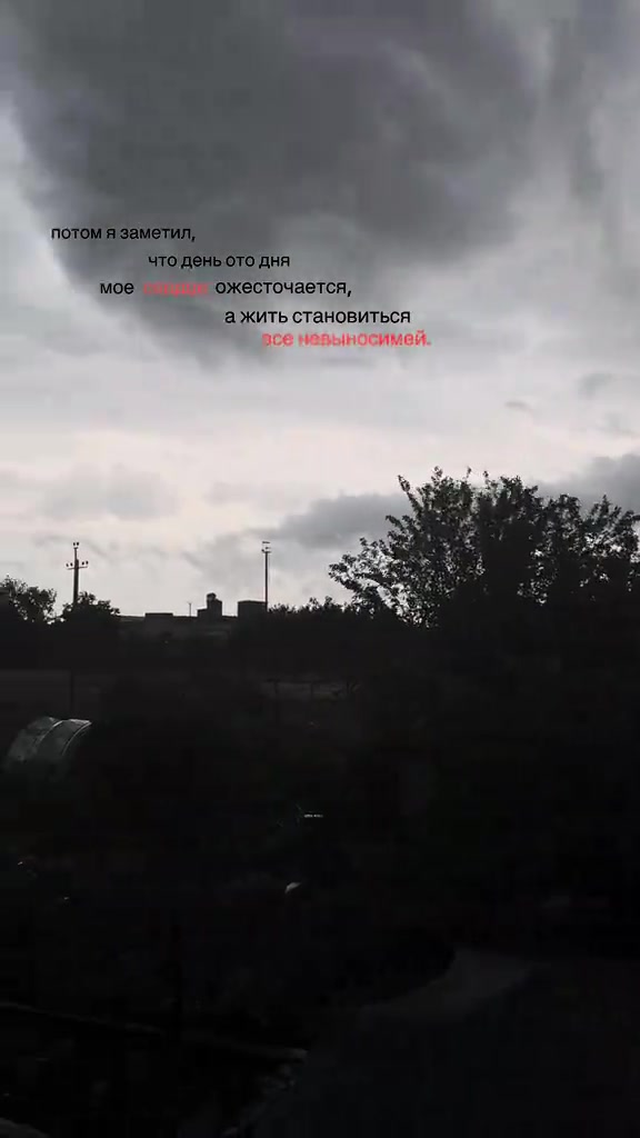 @бред сумашедшей