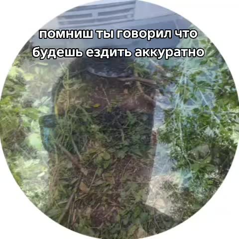 @Alphags04GA