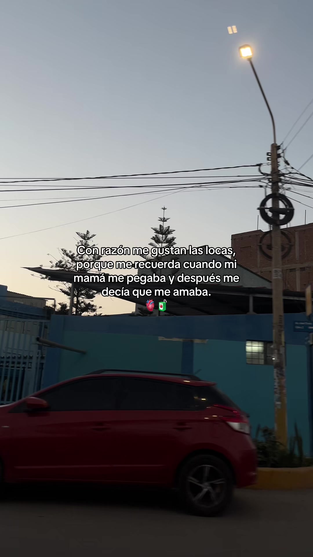 @Gatocix 🐱