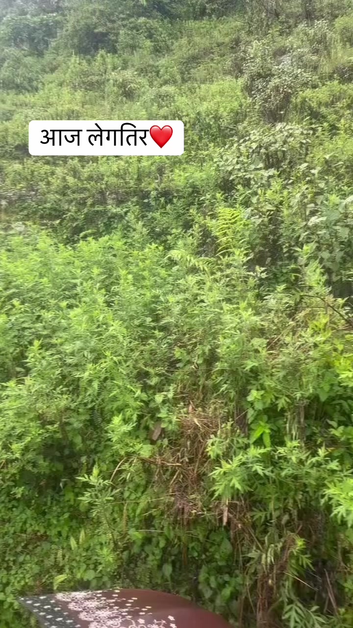 @Haरिस AiDEE
