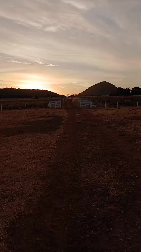 @Flávia Moreira Nascimento