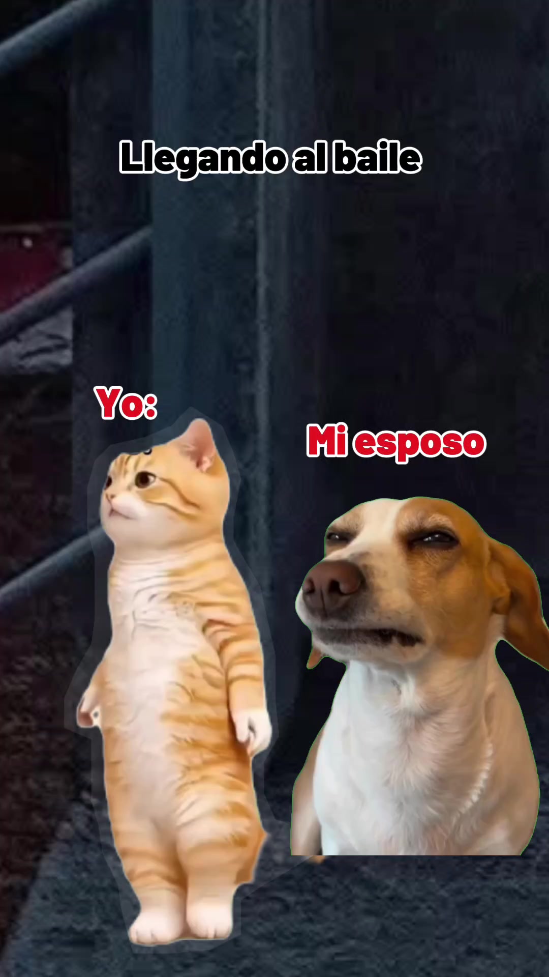 @๐ ๐๐ถ๐น๐ณ๐ฌ๐ ๐ฒ๐ ๐