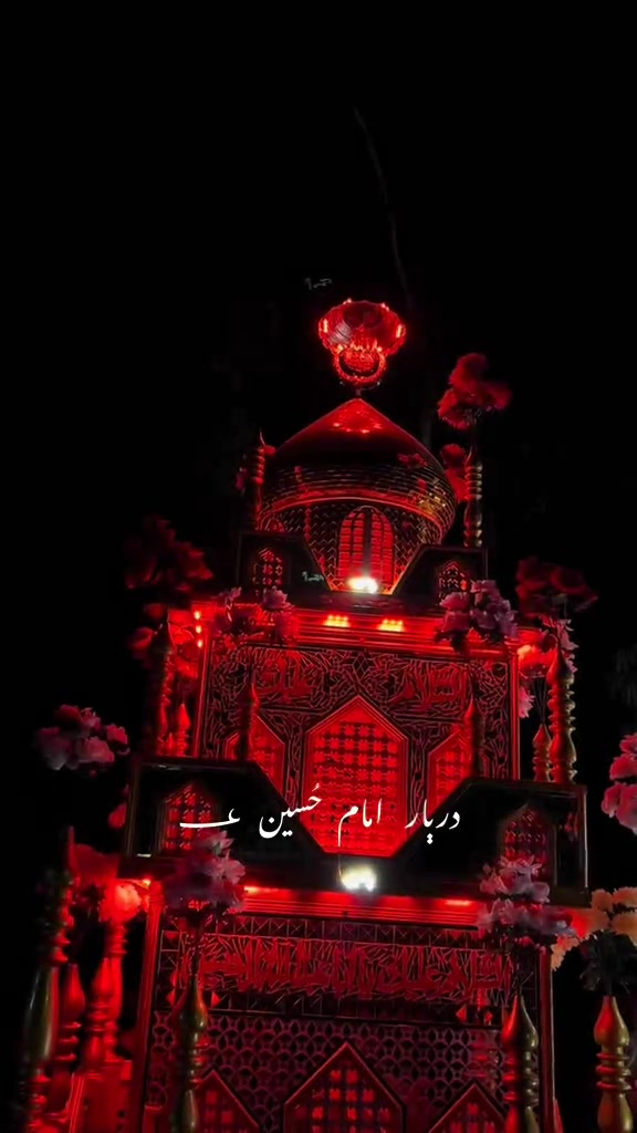 @👑سیده_ بخاری🌎🦋