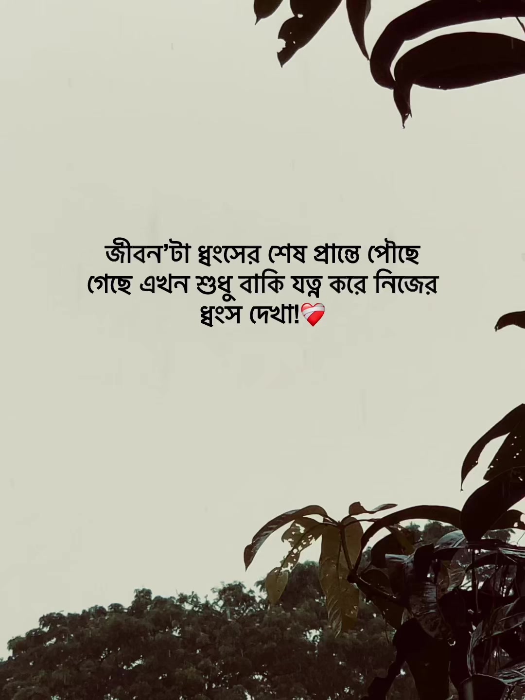 @Jit Baiddyađ§