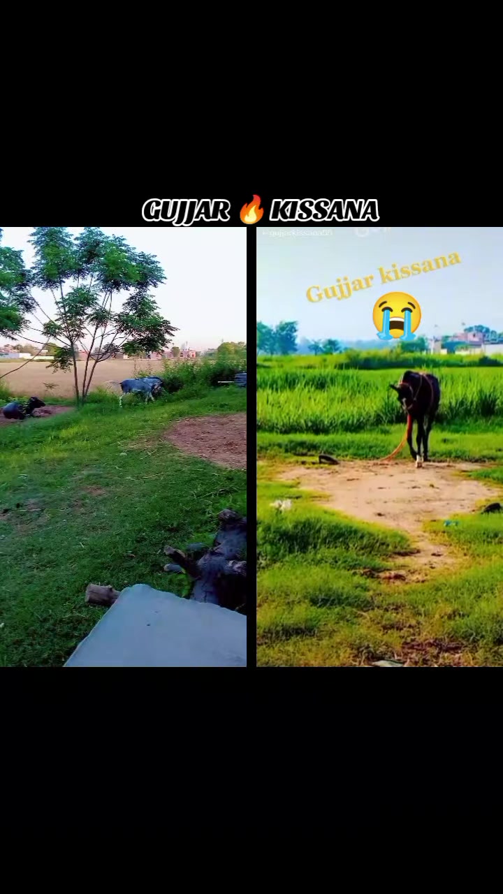 @𝐆𝐔𝐉𝐉𝐀𝐑 𝐊𝐈𝐒𝐒𝐀𝐍𝐀55