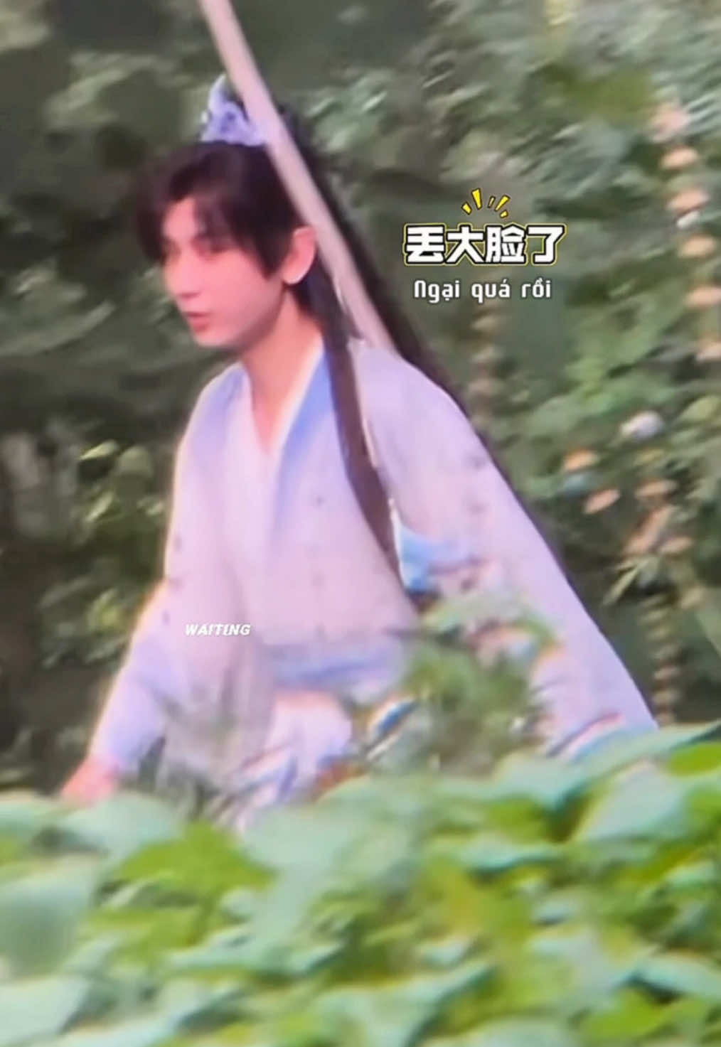 @ChengYi Hachimi