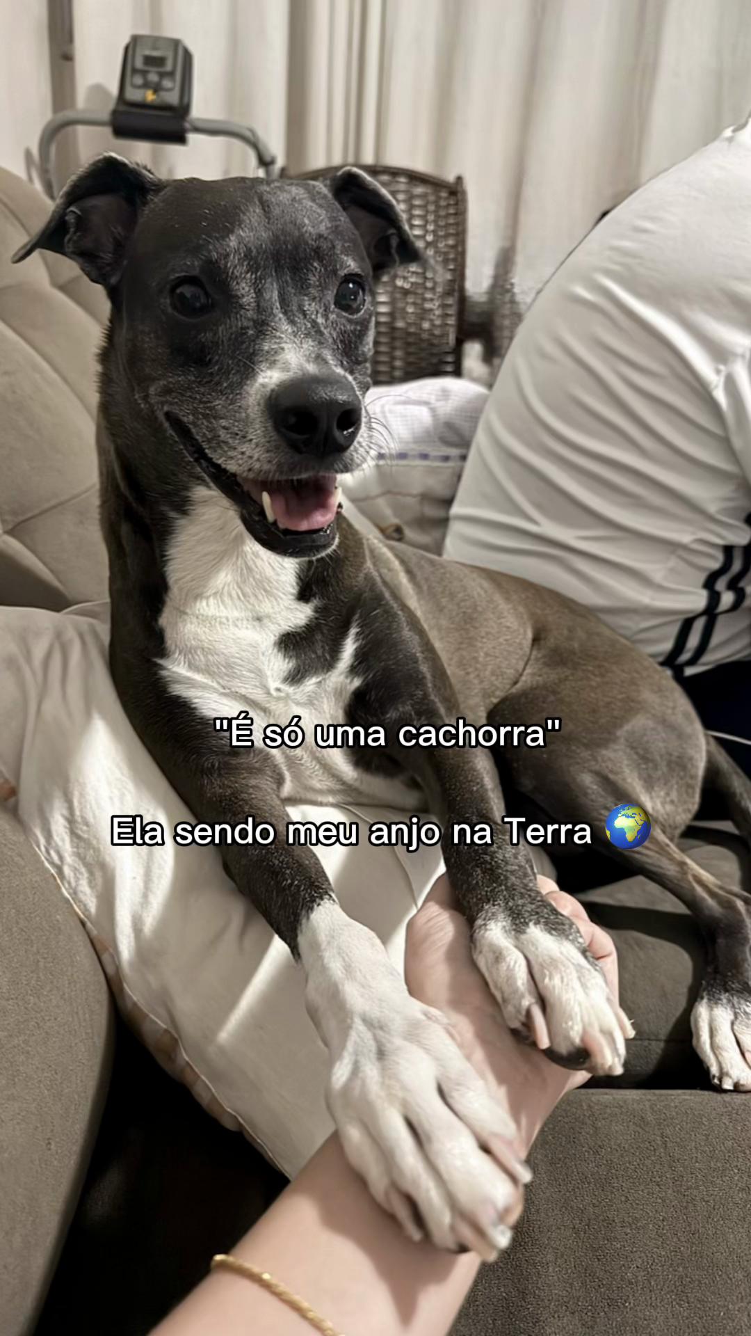 @luizalimamed