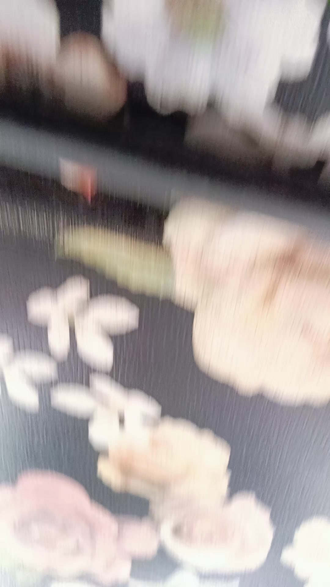 @Sujon_Raj_10