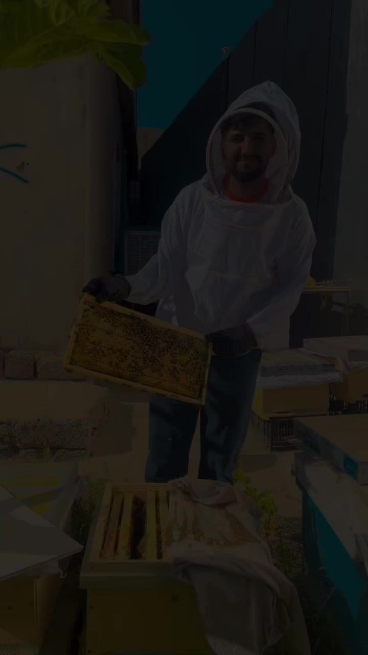 @-𝐀𝑳𝐈 ࿅