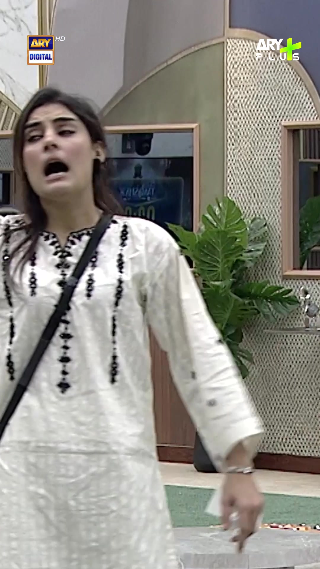 @ARY DIGITAL
