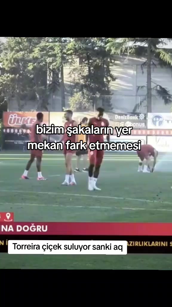 @ðð®ððð¬ððšð«ð«ðð¢ð«ð³âŽ