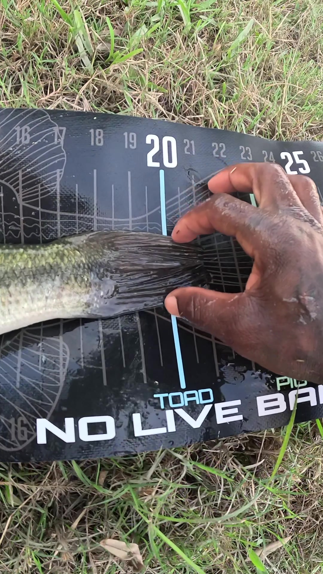 @TEXA$ WILD BOY🎣