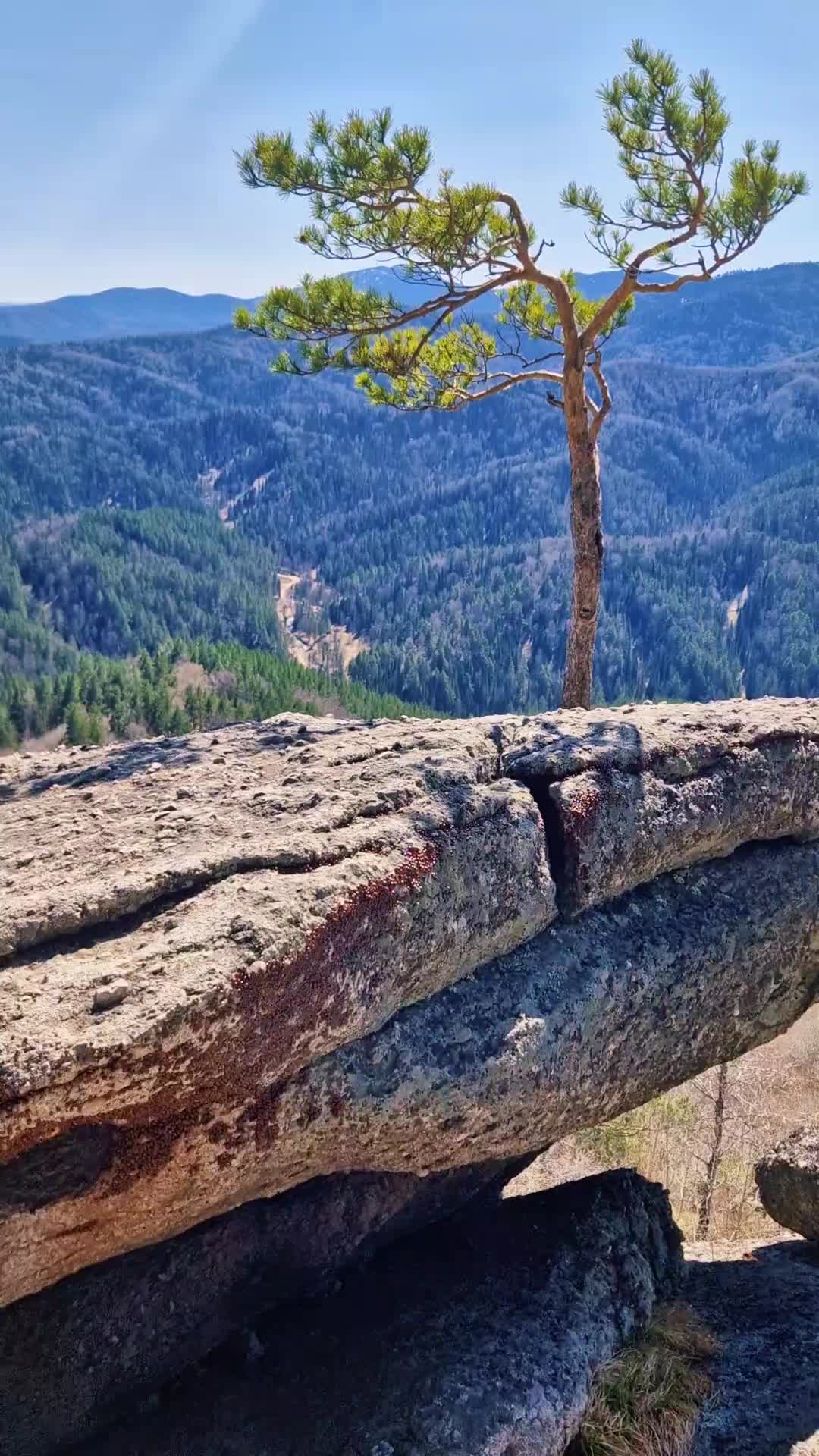 @Яркое Лето