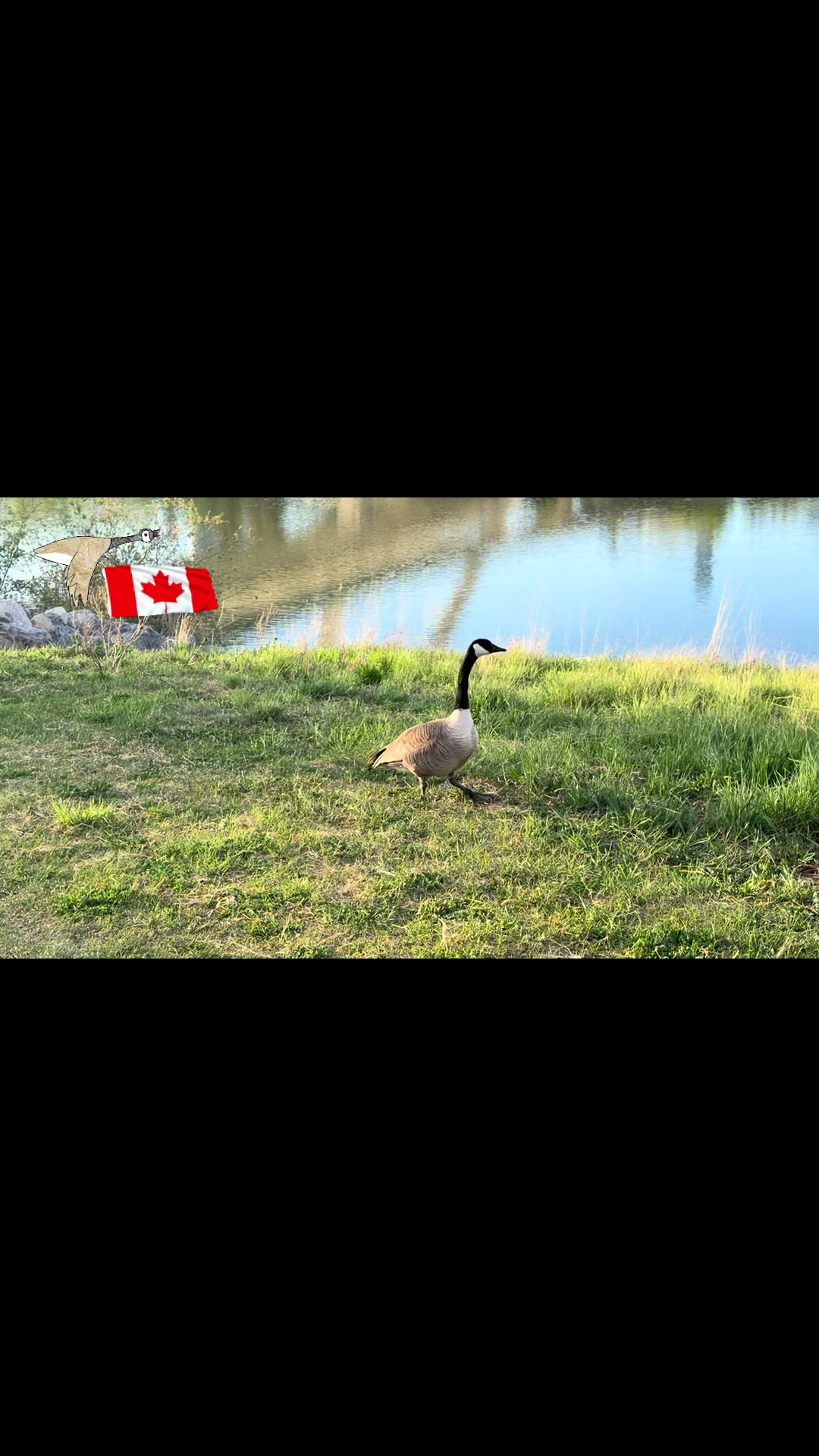 @🇦🇿HAJİYEV🇨🇦