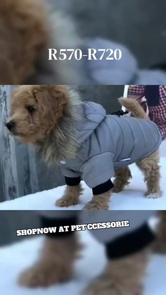 @Pet'ccessorie