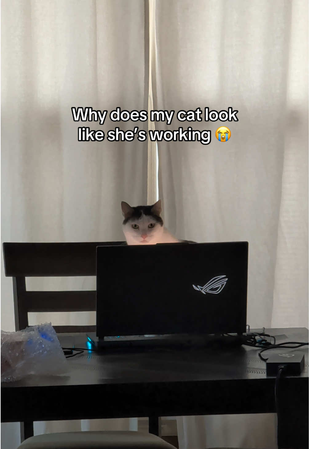 @Angel