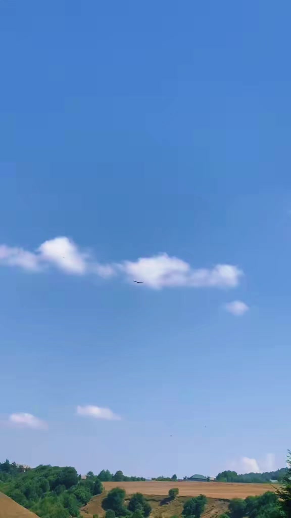 @Anar_Əliyev