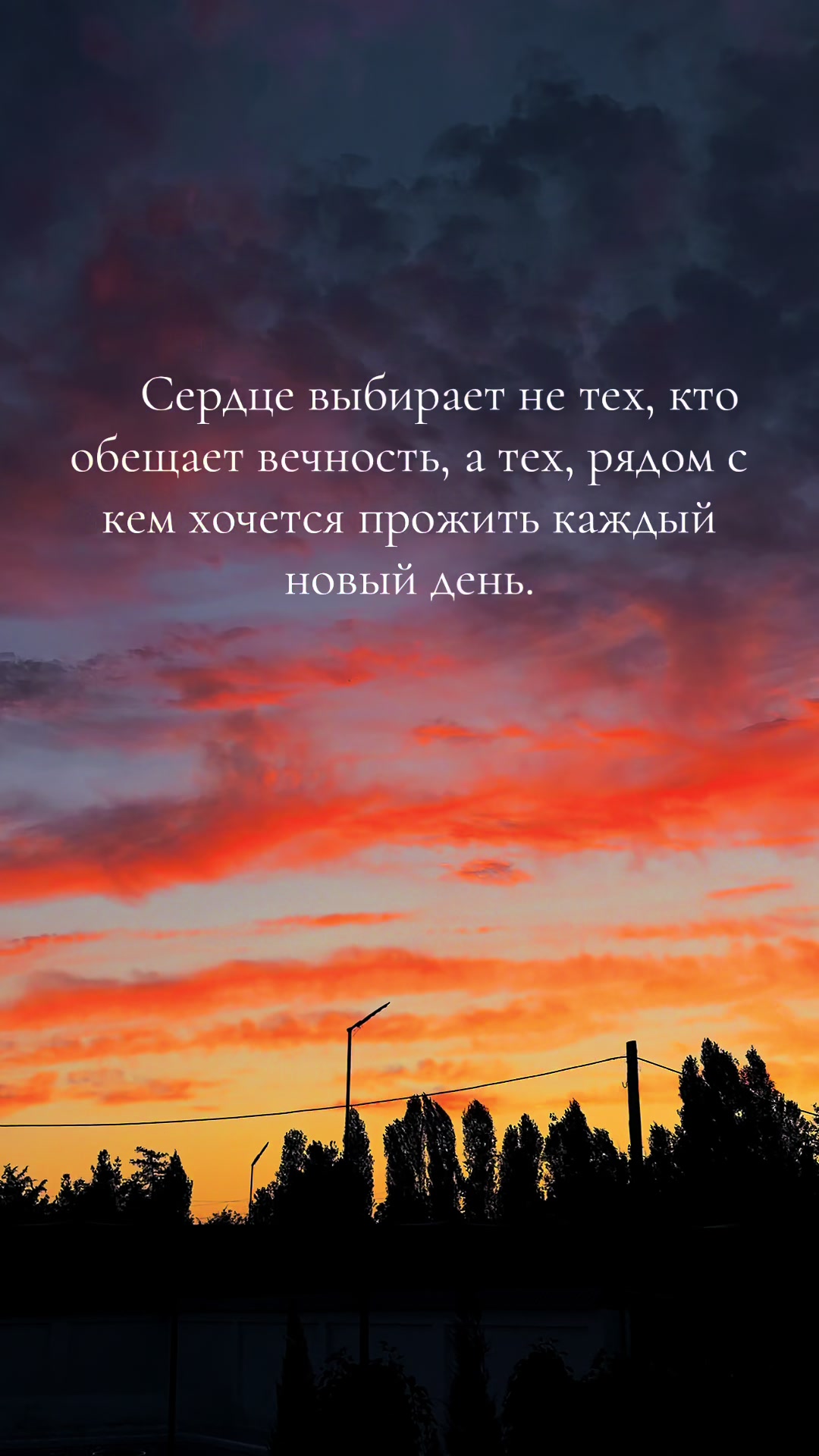 @mxchv