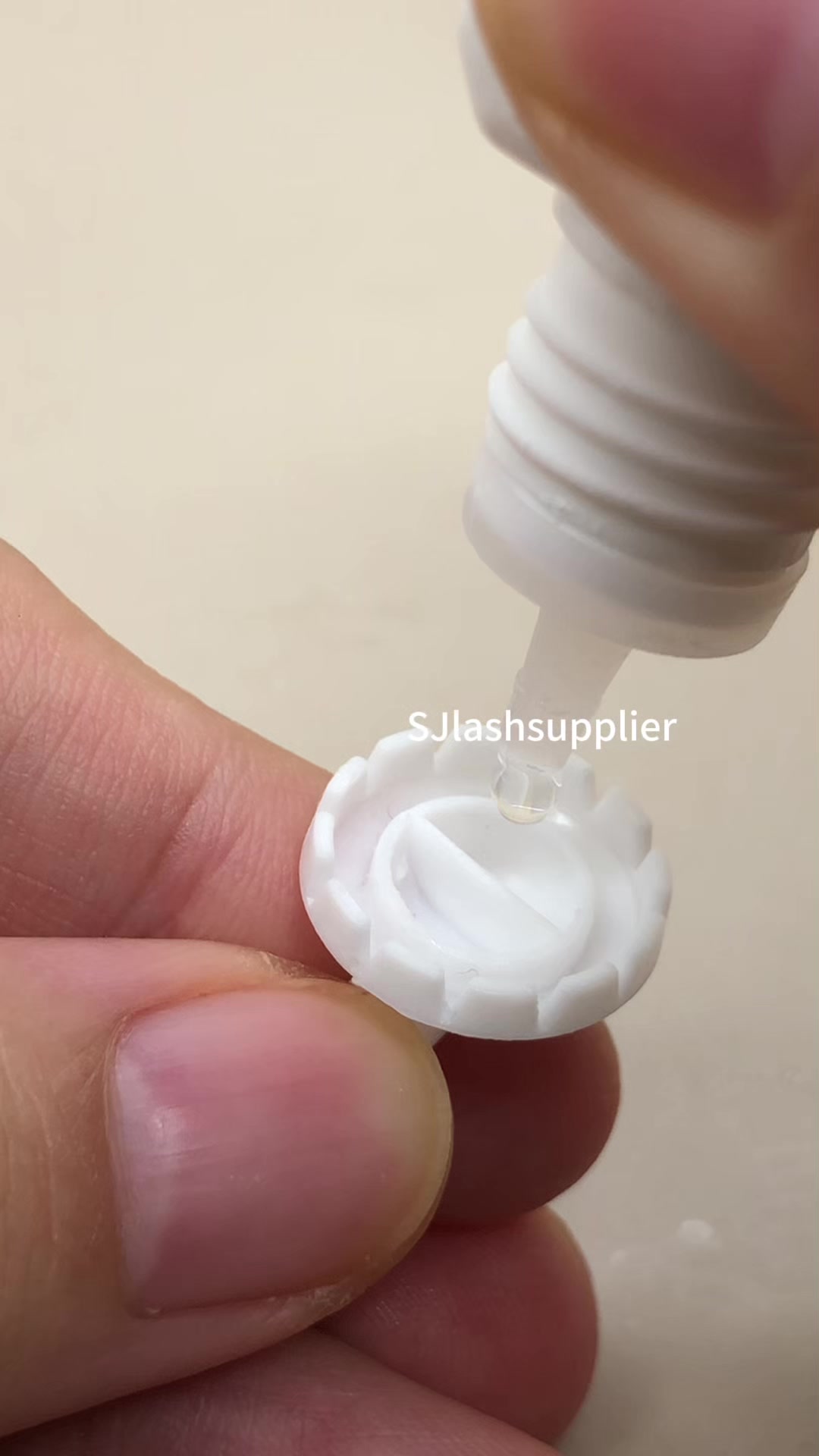 @sjlashsupplier.zoe