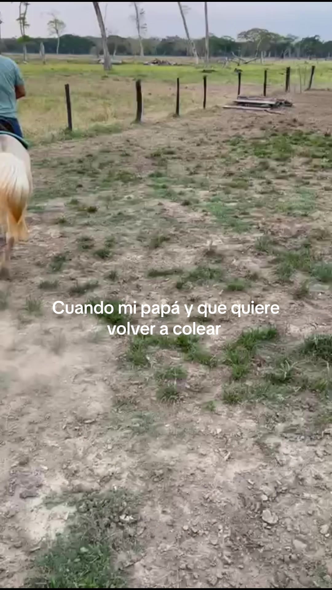 @Johe🍃🤠