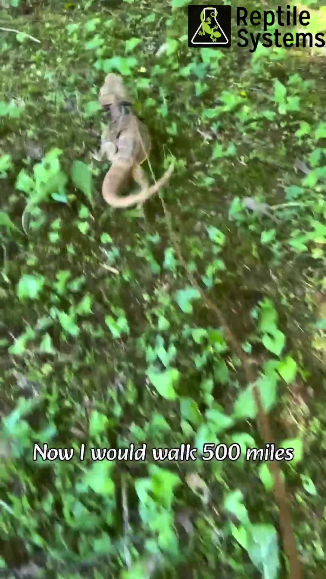 @DrTim